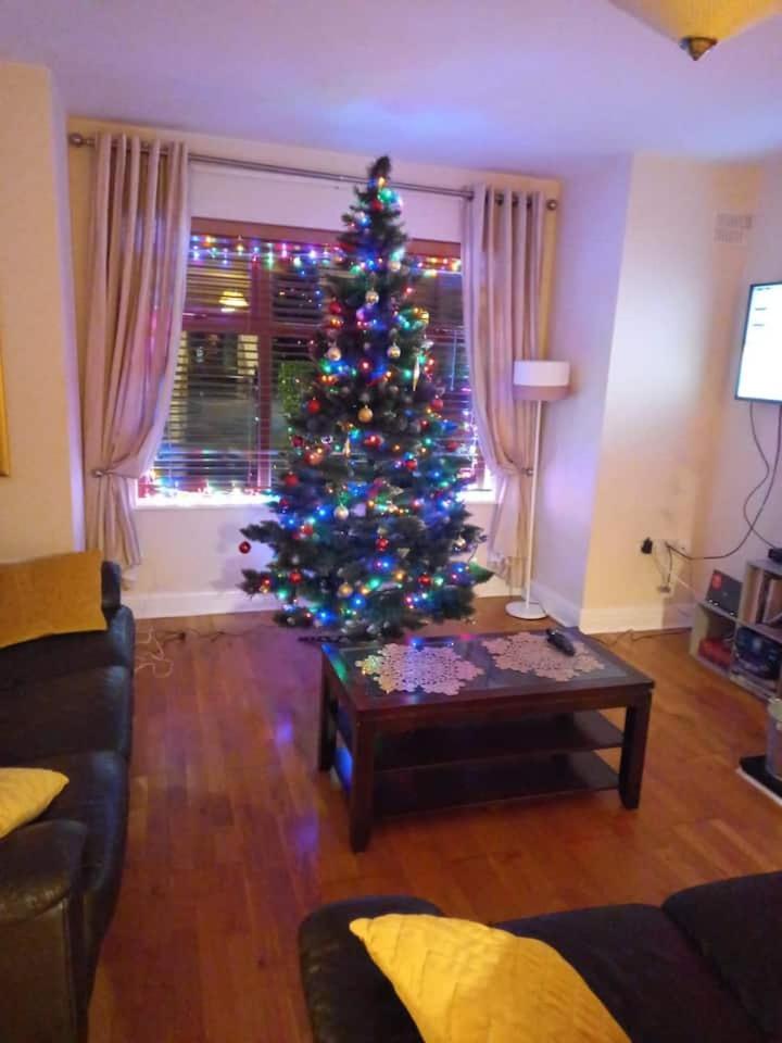 Home Near The River Shannon Rooskey المظهر الخارجي الصورة